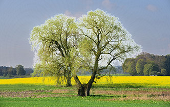 Persönlichkeitsentwicklung